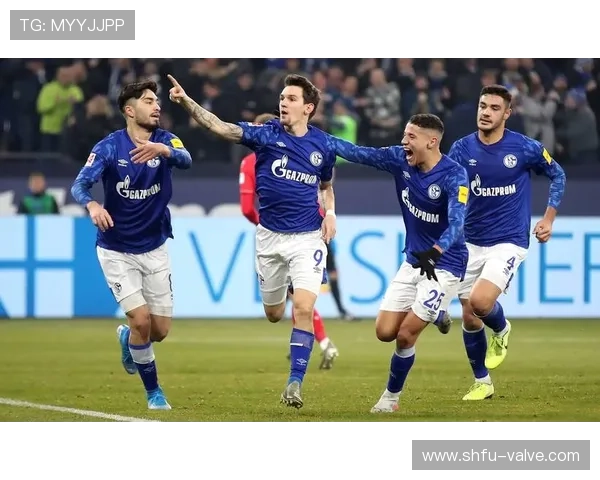 沙尔克整体实力