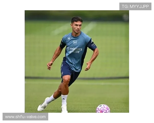 祖比门迪英超适配性分析：技术特点与风格适配考量