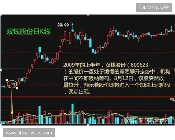 山东泰山越赢越悬?外援主导进攻,全队依赖困局逐步显现