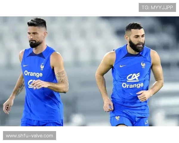 格列兹曼与本泽马:法国队战术角色与体系适配差异分析