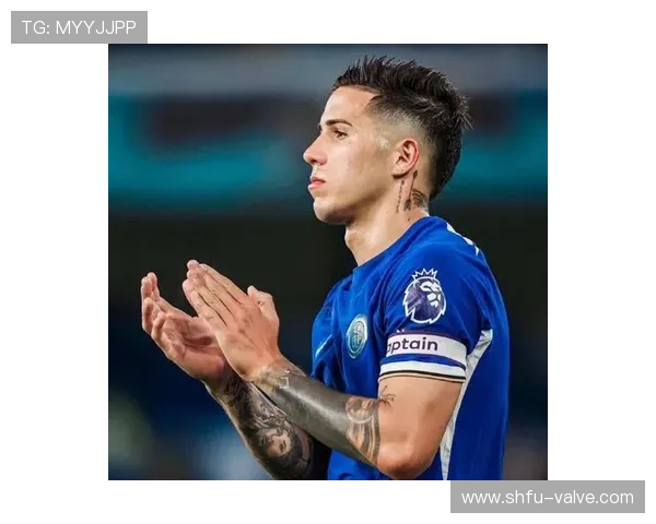 恩佐费尔南德斯：亿元先生身价是否合理？关键数据与比赛影响解析