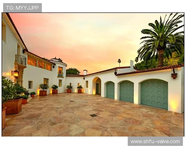 大阪刚买下比弗利山庄那套豪宅，月供比我年薪还高